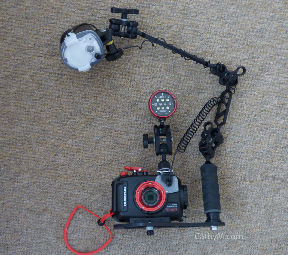 Olympus TG-4 with Underwater Housing, Strobe, Video Light